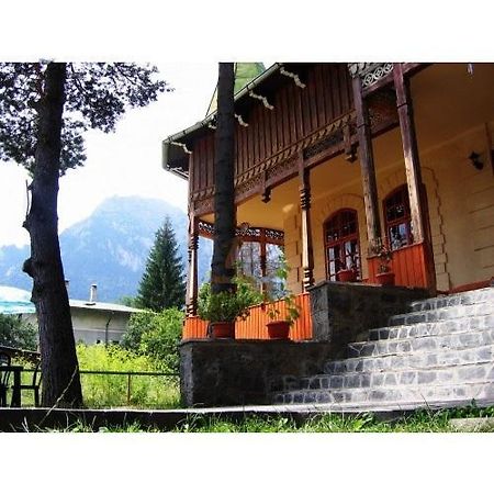 Hôtel Casa Frasin à Buşteni Extérieur photo