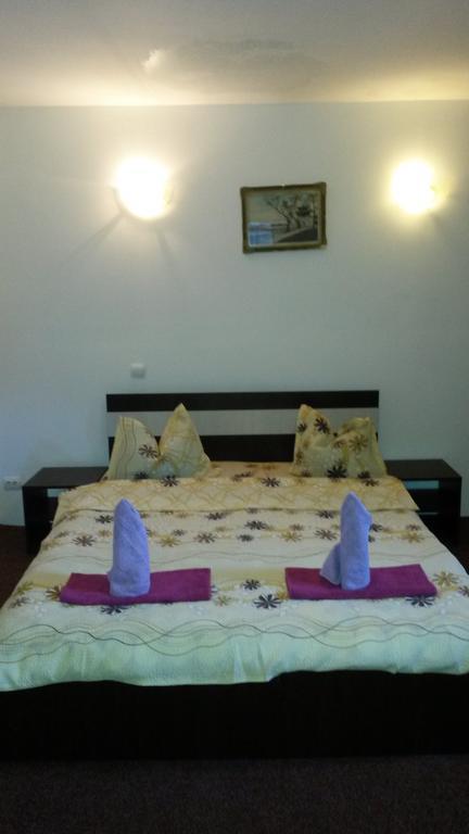 Hôtel Casa Frasin à Buşteni Extérieur photo