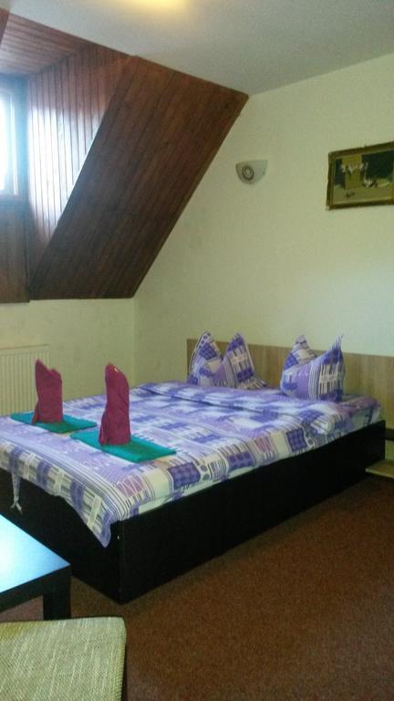 Hôtel Casa Frasin à Buşteni Extérieur photo